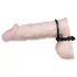 You2Toys - oceľový krúžok na penis a semenníky