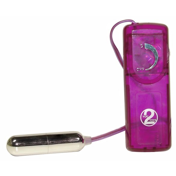 You2Toys - Vibračný set - erotické prekvapenie - 12 dielov