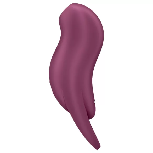 Satisfyer Pocket Pro 1 - nabíjateľný stimulátor klitorisu na vlny vzduchu
