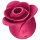 Satisfyer Pro 2 Rose - modern klitový vibračný stimulátor (červený)