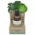 Coconutoil - olej po holení a depilácii - bio - 50 ml